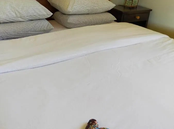 ゲストハウス Gabino